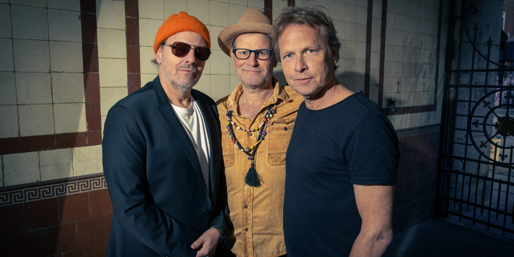 SP just frost 500x1000 1